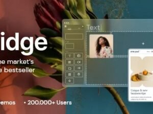 bridge nulled Theme