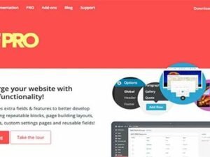 ACF Advanced Custom Fields PRO for wordperss nulled plugin
