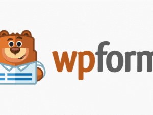 WPForms NULLED Plugin