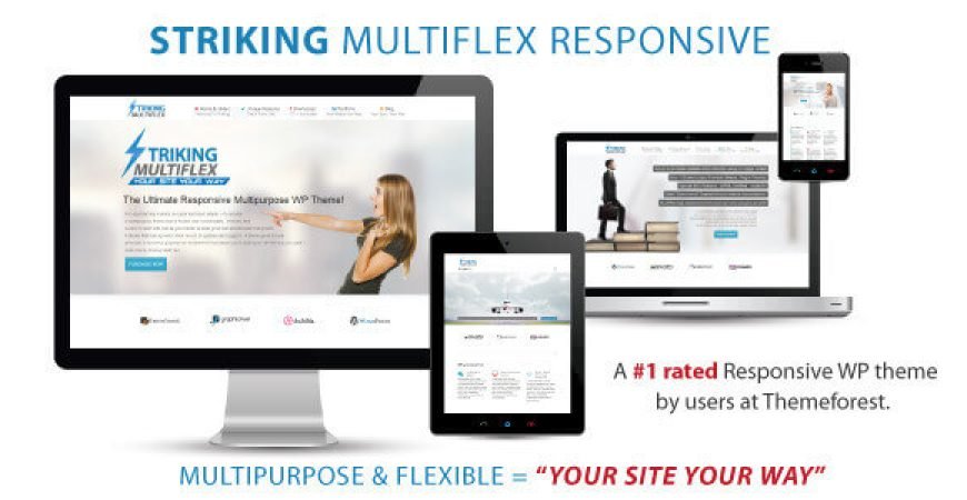 Striking MultiFlex nulled theme