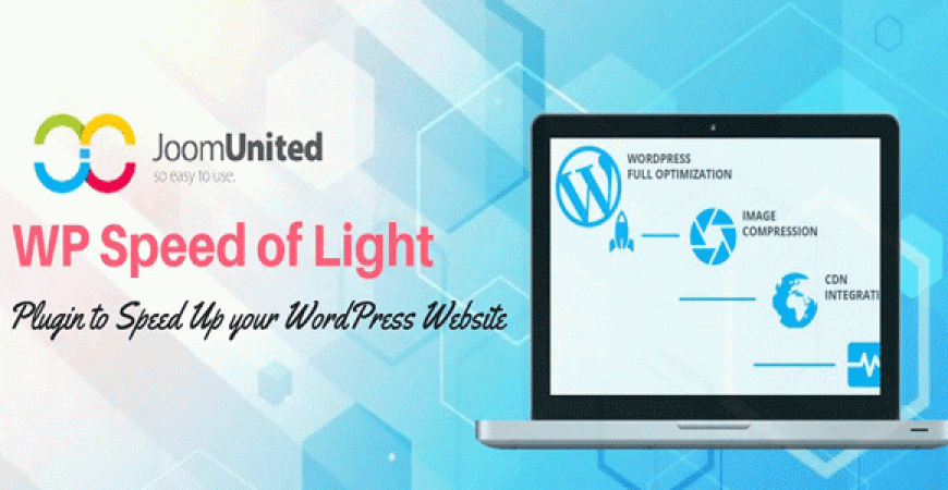 WP Speed of Light Pro nulled plugin