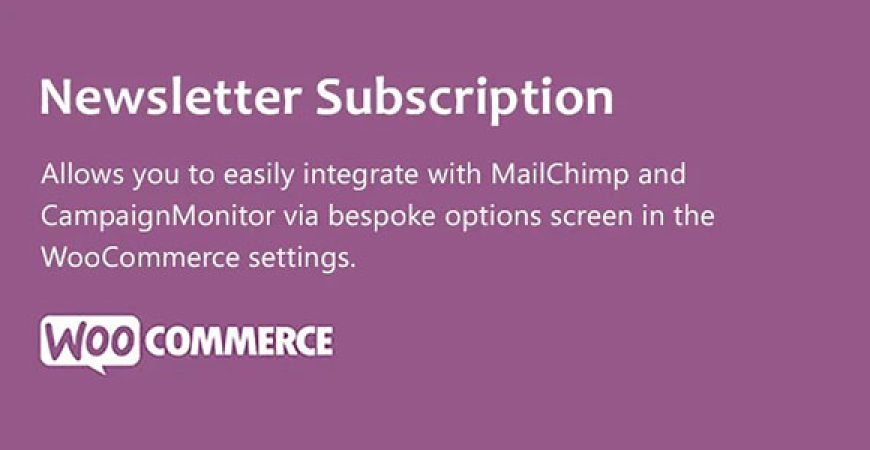 Newsletter Subscription nulled plugin