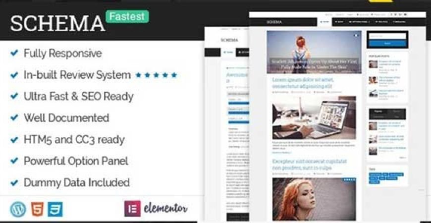 Schema nulled Themes
